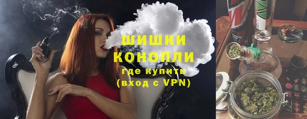 индика Переславль-Залесский