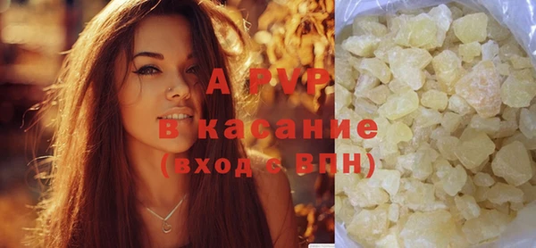 индика Переславль-Залесский