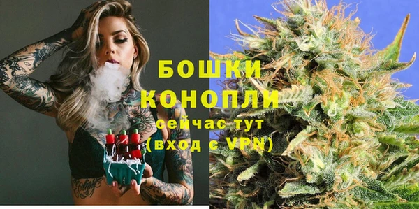 ешки Пестово
