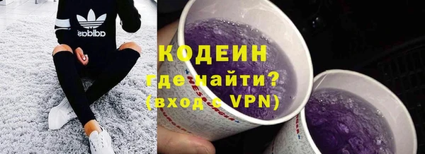 индика Переславль-Залесский