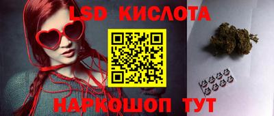 гашик Волгодонск