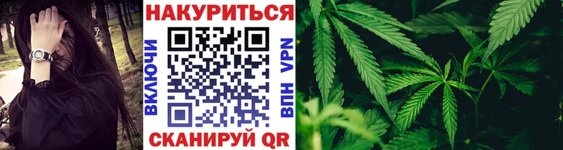 Бошки Шишки Amnesia  Кушва 